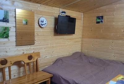 CASA SUPERBA 4 CAMERE ZONA VALU LUI TRAIAN 933MP - 21