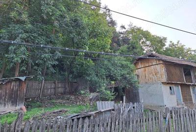 Vinzare proprietate in Catina jud.Buzau - 4