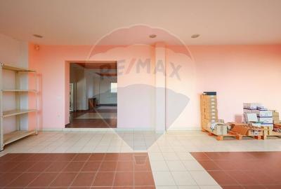 Spațiu industrial, de 1,407.1999511719 mp, în Vest - 6