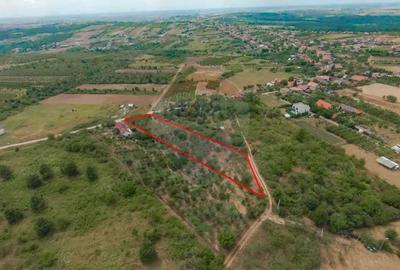 De vanzare Teren 3995mp intravilan Saldabagiu de Munte - 1