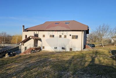 Spațiu comercial, de 424 mp, în Udești - 55