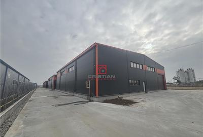 Depozit/hala/spatiu industrial Pantelimon - Centura - 7