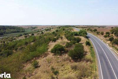 Teren de 2500 mp, în Ghimpați - 3