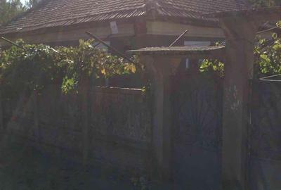 Casă cu 5 camere cu Teren 3000 Mp în Orevița Mare - 5