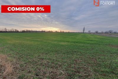 COMISION 0% Teren intravilan industrial 28.395 mp la sosea in Sag - 6