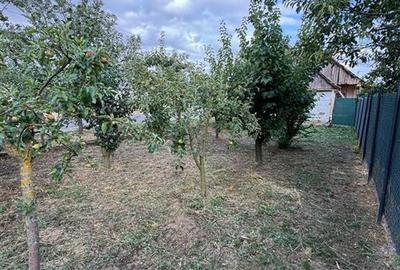 Casă individuală cu 5 camere cu Teren 1518 Mp în Cheresig - 10