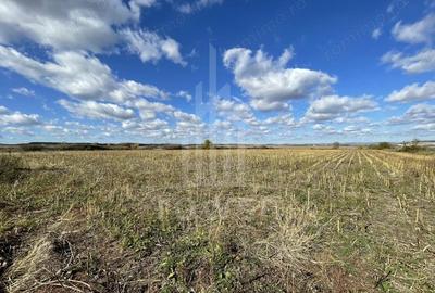 Teren de 14800 mp, în Cristian - 3