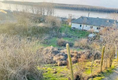 Teren de 3750 mp, în Rasova - 4