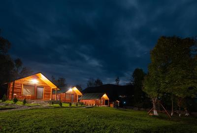 Casă individuală cu 4 camere cu Teren 2450 Mp în Valea Doftanei - 2