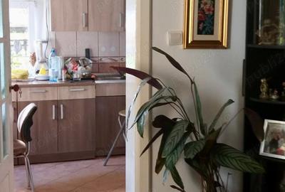 Casă cu 6 camere în Iezureni - 9