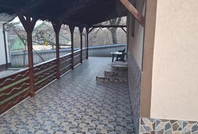 Vand casa Botosanita Mica - 5