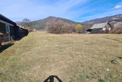 Teren de 6710 mp, în Stejaru (Pângărați) - 4