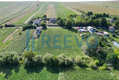 Teren de 3500 mp, în Bogdănești - 6