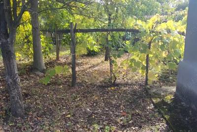 Casa de vanzare in ilovat, mehedinti - 10