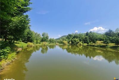Spațiu comercial, în Cheile Râșnoavei - 13
