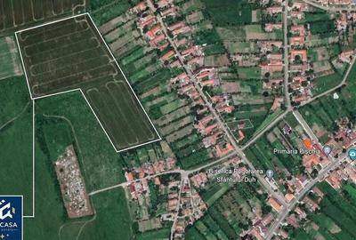 Teren agricol extravilan de 50000 mp, în Pișchia - 2