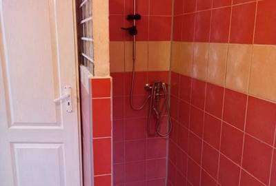 Apartament in curte comuna - 4