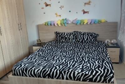 Casă cu 5 camere cu Teren 1400 Mp în Șimian - 2