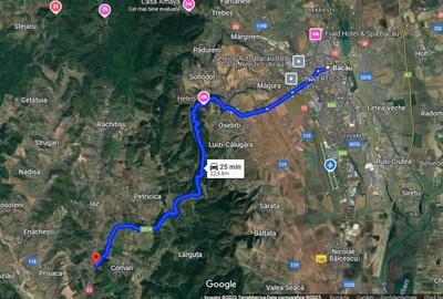 Teren 1 ha, deschidere spre padure, Sanduleni - 2