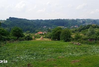 Teren de 1587 mp, în Rădășeni - 1