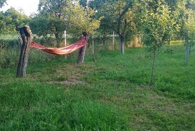 Casă cu 2 camere cu Teren 1800 Mp în Bumbești-Pițic - 1