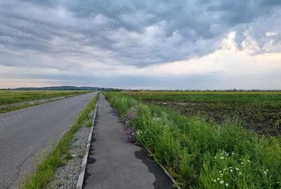 Teren de 30000 mp, în Filipeștii de Târg