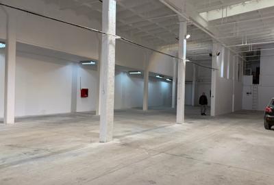 Spațiu industrial, de 1,100 mp, în Basarabia - 1