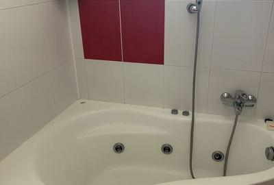 Apartament cu 3 camere decomandat în Fizicienilor - 3