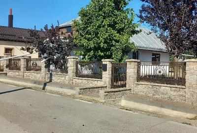 Casă cu Teren 1800 Mp în Central - 1