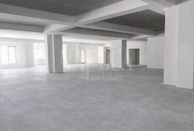 Spațiu comercial, de 550 mp, în Plopilor - 3