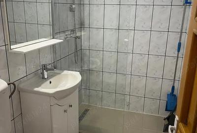 Apartament cu 3 camere decomandat în Terezian - 5