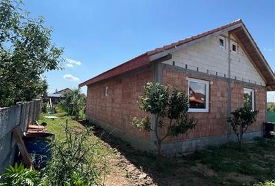 RECO Casa la rosu, la iesire din Les, langa padure - 9