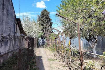 Casă cu Teren 250 Mp în Central - 3