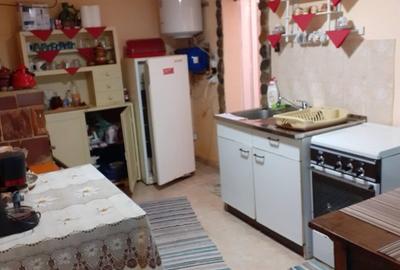 Cabana zona de deal în Apuseni - 5