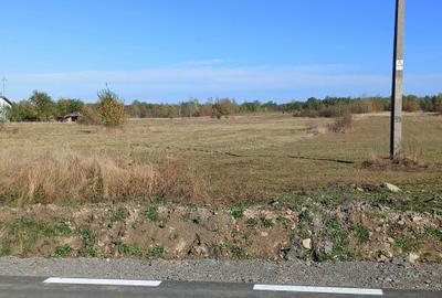 Spațiu comercial, în Sebeș - 1