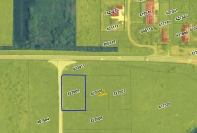 Vanzare | Teren industrial | 2385 MP | Apa Curent Canal | Mosnita Noua - 6