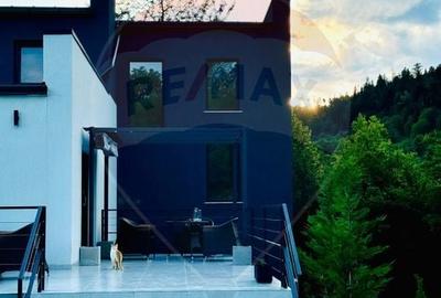 Proprietate specială, de 280 mp, în Almaș - 40