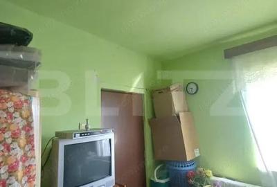 Casa renovabila, 2 camere, zona Cetate - 1