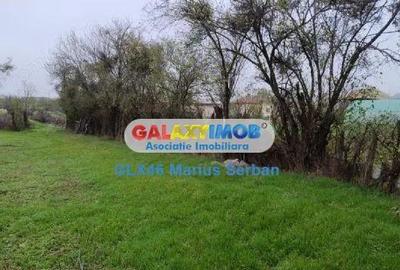 Teren de 3000 mp, în Petrești - 8