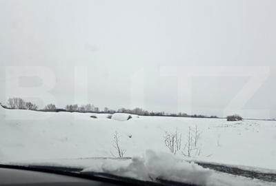 Teren de 41000 mp, în Giroc