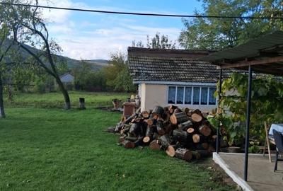 Casa si teren 2000mp Draguseni - 1