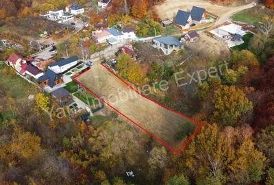 Teren de vanzare in Curtea de Arge?, Strada Anghele?ti. - 3