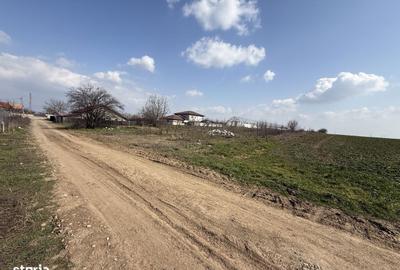 Teren de 4990 mp, în Frumușani - 3