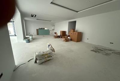 Vanzare Penthouse Pallady - 2