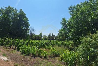 Teren Construcții intravilan de 1000 mp, în Central - 2