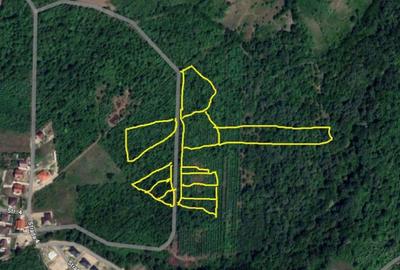 Teren de vanzare - 1