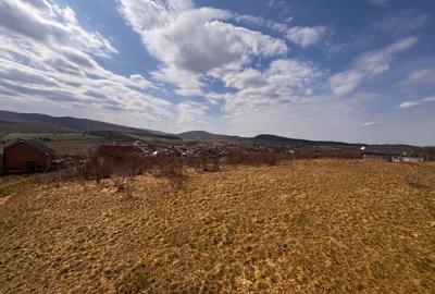 Teren Construcții extravilan de 1200 mp, în Nord-Vest - 1