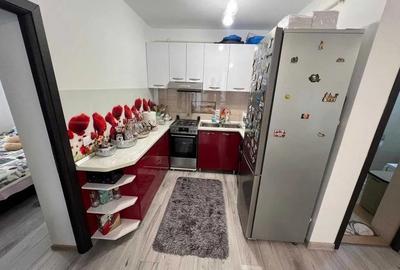 Apartament cu 4 camere decomandat, mobilat în Păcurari