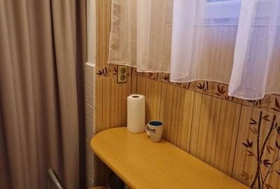 Garsonieră decomandată în Dosu Bricii - 9