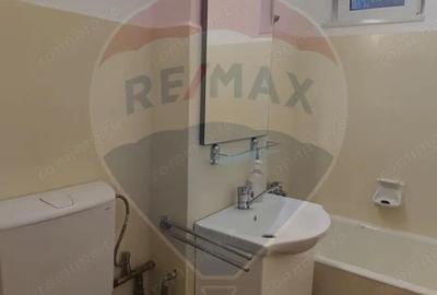 Apartament cu 3 camere decomandat, mobilat în Decebal - 11